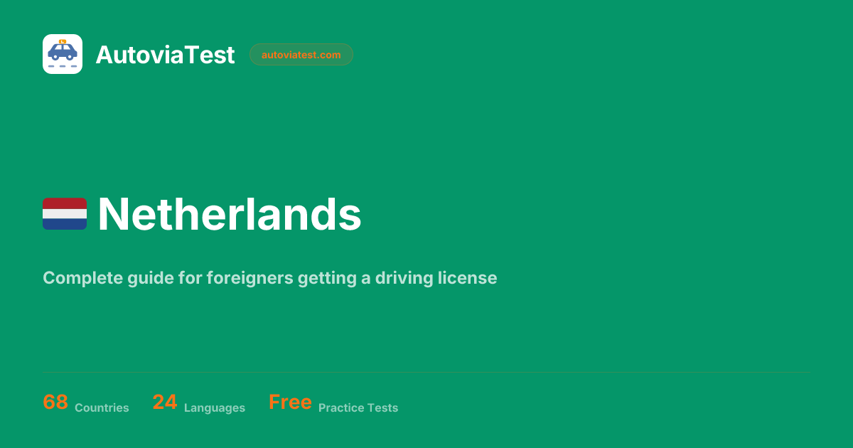 Driving License in Netherlands for Expats | Complete Guide 2026 ...