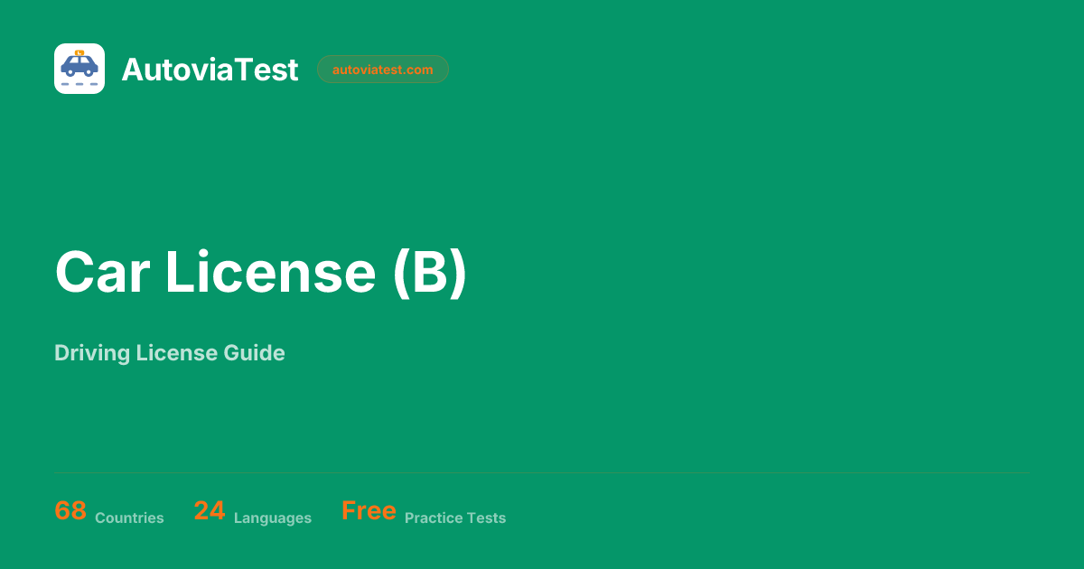 Car License (B) — AutoviaTest