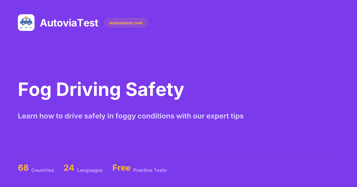 Fog Driving Safety | AutoviaTest